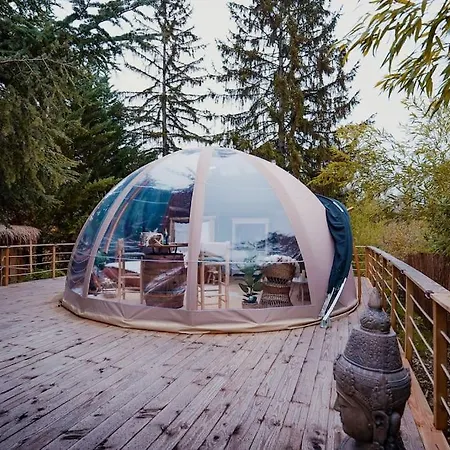 Boho *
